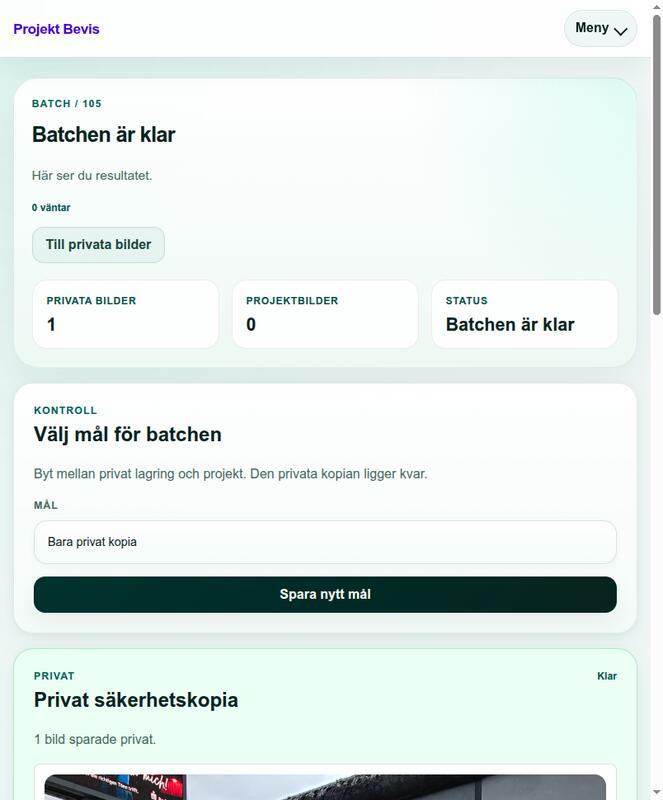 The result view for a processed batch, showing where each image was filed.